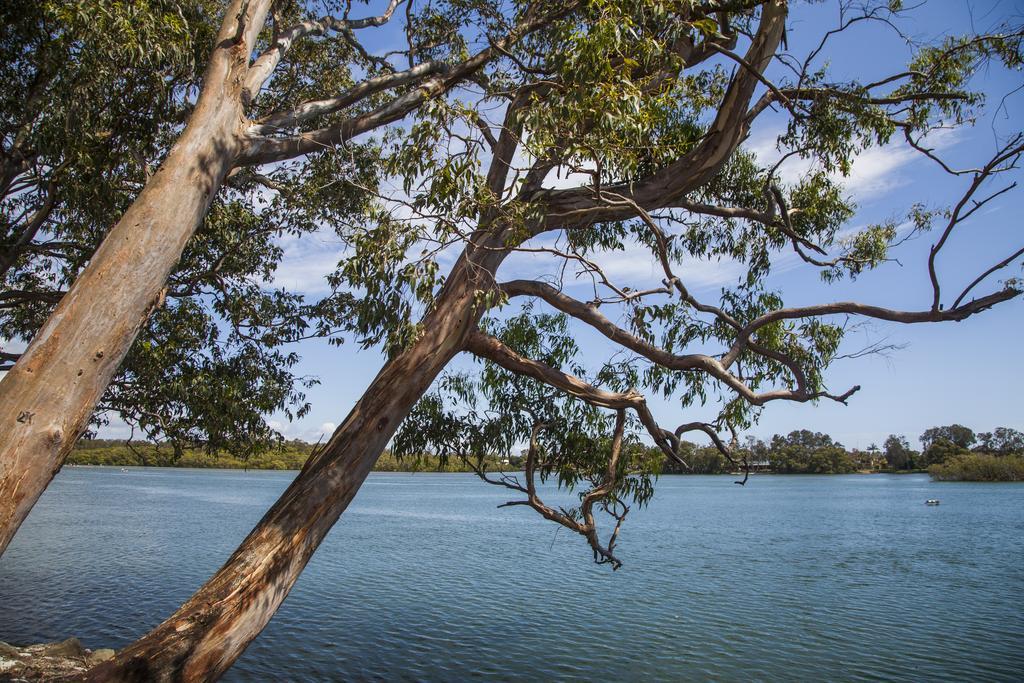 Colonial Tweed Holiday & Home Park Tweed Heads Exterior foto